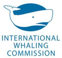 iwc whaling wiki|what whaling 120 isabel.